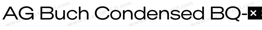 AG Buch Condensed BQ字体转换
